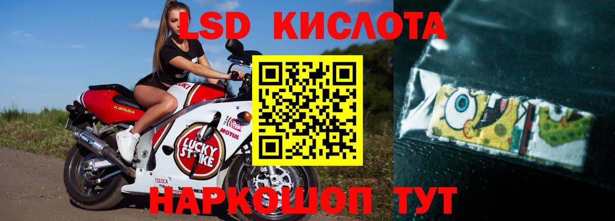 Сланцы  Лсд 25 экстази кислота  LSD-25 экстази  LSD-25 экстази ecstasy  Вход с VPN 