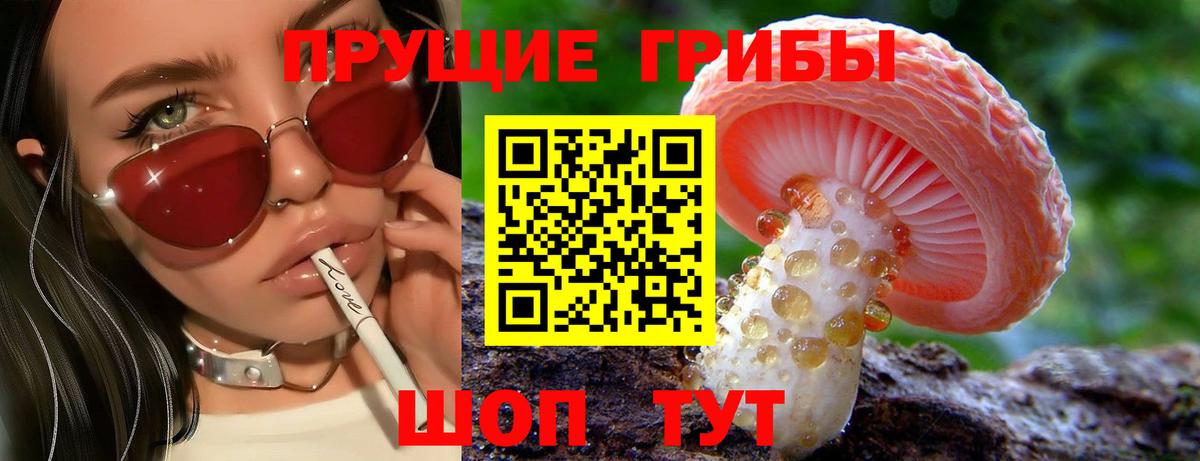 Псилоцибиновые грибы мухоморы Сланцы